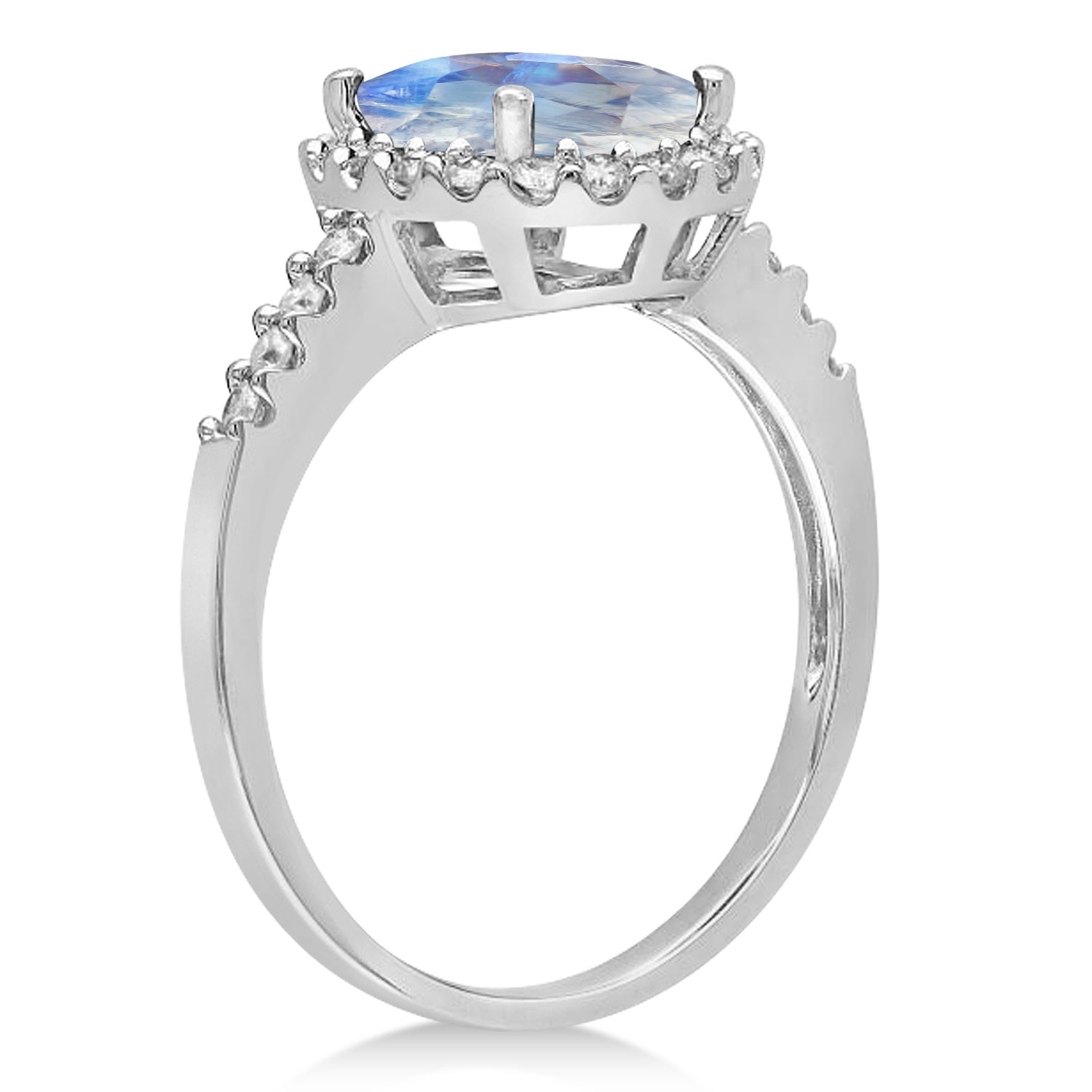 Halo Diamond & Oval Moonstone Ring in 14k White Gold (1.42ct) Front View