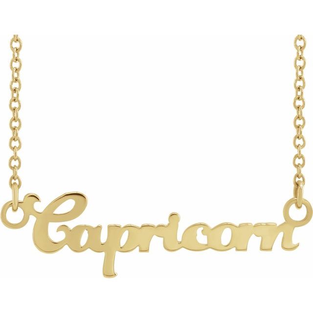 Capricorn zodiac coin zodiac necklace in 14k yellow gold
